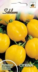 Tomat Citrina цена и информация | Семена овощей, ягод | kaup24.ee