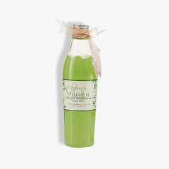 Kooriv dušigeel Green Garden Aloe Vera Peeling Shower Gel, 250 ml hind ja info | Dušigeelid, õlid | kaup24.ee