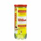 Tennisepallid Wilson, kollane hind ja info | Välitennise tooted | kaup24.ee