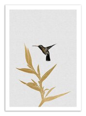 Plakat Hummingbird and flower 30 x 40 cm hind ja info | Seinapildid | kaup24.ee