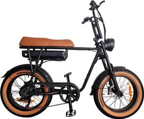 Elektrijalgratas Tourwheel T6, 20", oranž, 350W, 17,5Ah цена и информация | Электровелосипеды | kaup24.ee