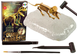 Arheoloogia kaevamiskomplekt Dinosaurus Triceratopsi skelett Lean Toys hind ja info | Arendavad mänguasjad | kaup24.ee