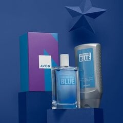 Avon Individual Blue kinkekomplekt talle: tualettvesi 100ml, dušigeel-šampoon 250ml цена и информация | Мужские духи | kaup24.ee