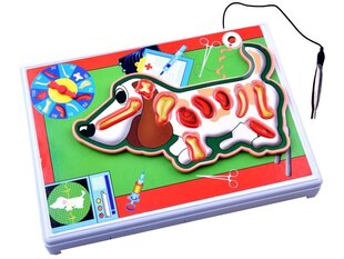 Elektrooniline mäng väike loomaarst hind ja info | Arendavad mänguasjad | kaup24.ee