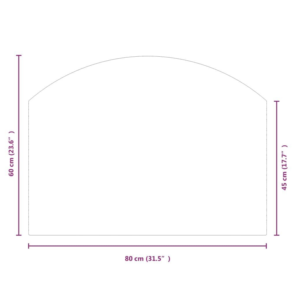 vidaXL kaminaesine klaasplaat, 80x60 cm hind ja info | Kaminad | kaup24.ee