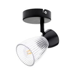 Потолочный светильник Milagro Best ML9970 цена и информация | Потолочные светильники | kaup24.ee