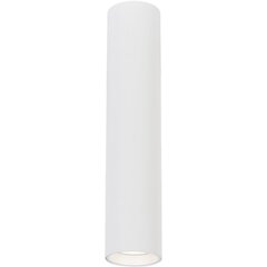 светильник, 1xgu10, 30 см, белый цена и информация | Потолочные светильники | kaup24.ee