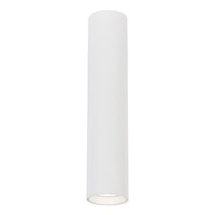 светильник, 1xgu10, 30 см, белый цена и информация | Потолочные светильники | kaup24.ee