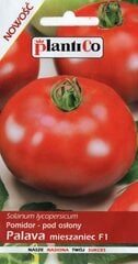 Помидоры Palava F1 цена и информация | Семена овощей, ягод | kaup24.ee
