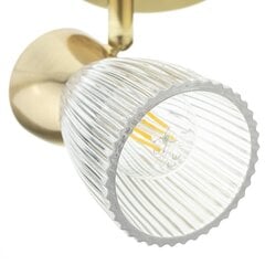 Потолочный светильник Milagro Best ML9974 цена и информация | Потолочные светильники | kaup24.ee