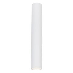 светильник, 1xgu10, 40 см, белый цена и информация | Потолочные светильники | kaup24.ee
