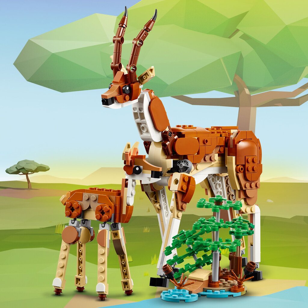 31150 LEGO® Creator Wild Safari Animals metsikud safariloomad цена и информация | Klotsid ja konstruktorid | kaup24.ee