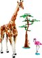 31150 LEGO® Creator Wild Safari Animals metsikud safariloomad hind ja info | Klotsid ja konstruktorid | kaup24.ee