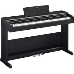 Digitaalne klaver Yamaha YDP-105 B hind ja info | Yamaha Muusikainstrumendid ja tarvikud | kaup24.ee