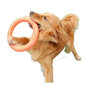Mänguasi koerale, oranž, 18 cm hind ja info | Mänguasjad koertele | kaup24.ee
