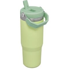 Stanley termospudel IceFlow Flip Straw, 890 ml hind ja info | Termosed, termostassid | kaup24.ee