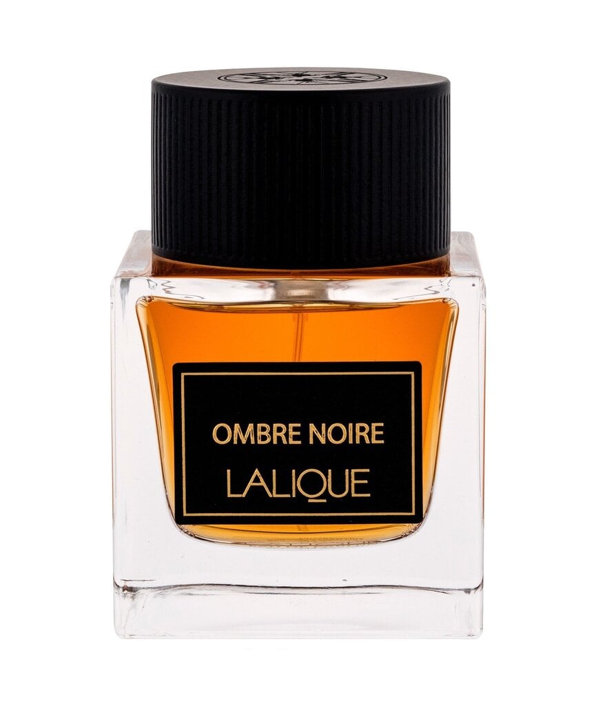 Parfüümvesi Lalique Ombre Noire EDP meestele, 100 ml hind ja info | Meeste parfüümid | kaup24.ee