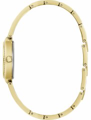 Часы Guess GW0655L2 GW0655L2 цена и информация | Женские часы | kaup24.ee