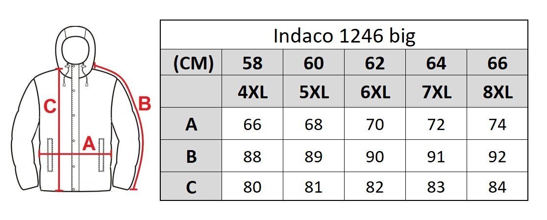 Jope meestele Indaco 1246 hind ja info | Meeste joped | kaup24.ee