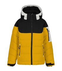 Детская куртка Icepeak Latta 200 г 50063-4*437 6438549471014, желтая/черная цена и информация | Куртки для мальчиков | kaup24.ee
