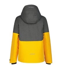 Детская куртка Icepeak Langdon 180 г 50065-4*437 6438549471229, желтая/черная цена и информация | Куртки для мальчиков | kaup24.ee