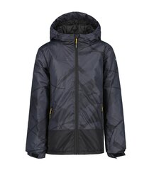 Icepeak детская куртка 160g Lutcher 50033-4*290, серый/черный 6438549486483 цена и информация | Куртки для мальчиков | kaup24.ee