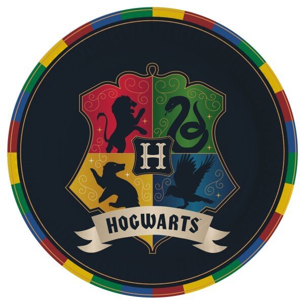 Ühekordsed papptaldrikud Harry Potter, 8 tk hind ja info | Ühekordsed nõud | kaup24.ee