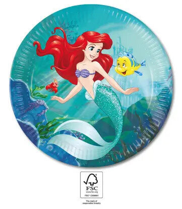 Ühekordsed papptaldrikud Princess Ariel, 8 tk цена и информация | Ühekordsed nõud | kaup24.ee