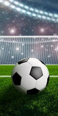 Football, Полотенцеs 70*140cm цена и информация | Полотенца | kaup24.ee