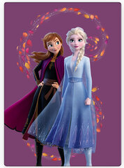 Disney Frozen Wind Polar Плед 100x140 cm цена и информация | Покрывала, пледы | kaup24.ee