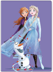 Disney Frozen Purple Polar Плед 100x140 cm цена и информация | Покрывала, пледы | kaup24.ee