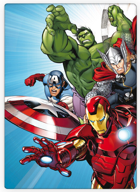 Avengers Polar Pleed, 100x140 cm цена и информация | Voodikatted, pleedid | kaup24.ee