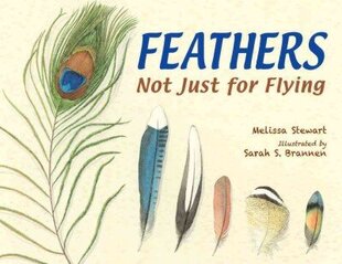 Feathers: Not Just for Flying цена и информация | Книги для подростков и молодежи | kaup24.ee