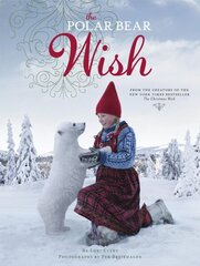 Polar Bear Wish цена и информация | Книги для малышей | kaup24.ee