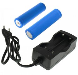 Зарядное устройство Perf для аккумулятора цена и информация | Зарядные устройства для элементов питания | kaup24.ee