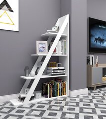 Книжный шкаф Asir, белый. цена и информация | Полки | kaup24.ee