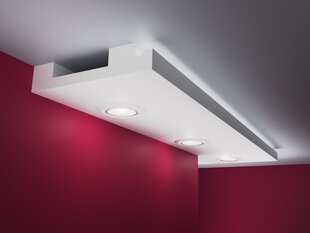 Подвесные потолки, LH1F 6x30x200cm цена и информация | Элементы декора для стен, потолка | kaup24.ee