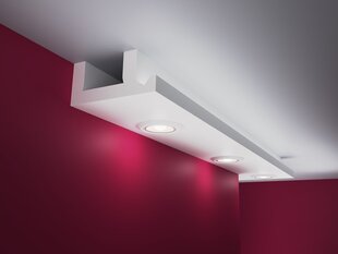 Подвесные потолки, LH1D 8x20x200cm цена и информация | Элементы декора для стен, потолка | kaup24.ee