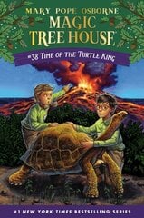 Time of the Turtle King hind ja info | Noortekirjandus | kaup24.ee