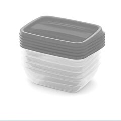 Набор контейнеров для пищевых продуктов 5x0,5 л Vedo прозрачный серый цена и информация | Посуда для хранения еды | kaup24.ee