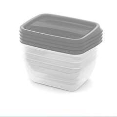 Набор мисок для еды прямоугольных 4x0,75 л Vedo прозрачно-серый цена и информация | Посуда для хранения еды | kaup24.ee