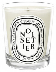 Ароматическая свеча Diptyque Noisetier, 190 г цена и информация | Свечи, подсвечники | kaup24.ee