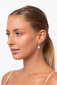 Elegantsed hõbekõrvarõngad pärli ja tsirkoonidega Brilio Silver EA87 sBS1065 hind ja info | Kõrvarõngad | kaup24.ee