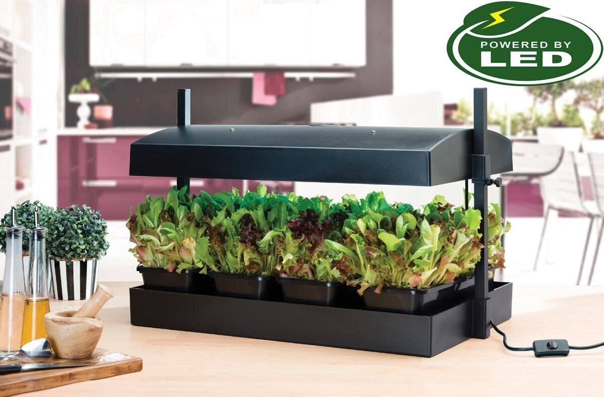 Grow Light Garden hind ja info | Nutipotid ja taimelambid | kaup24.ee