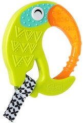 Närimislelu Chicco Water Toucan, 6m+ цена и информация | Прорезыватели | kaup24.ee