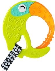 Närimislelu Chicco Water Toucan, 6m+ цена и информация | Прорезыватели | kaup24.ee