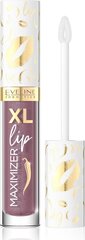 Блеск для губ Eveline XL Lip Maximizer № 06 Bali Island, 4,5 мл цена и информация | Помады, бальзамы, блеск для губ | kaup24.ee