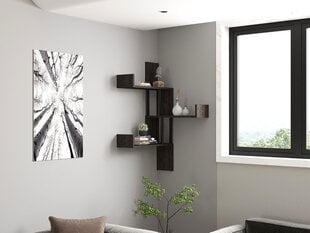 Seina riiul, Asir, 105x60x20cm, hall hind ja info | Riiulid | kaup24.ee