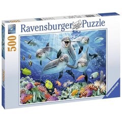 Pusle Ravensburger Delfiinid, 500 tk. hind ja info | Pusled | kaup24.ee