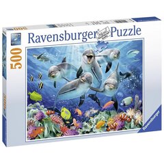 Пазл Ravensburger 500 шт Дельфины цена и информация | Пазлы | kaup24.ee